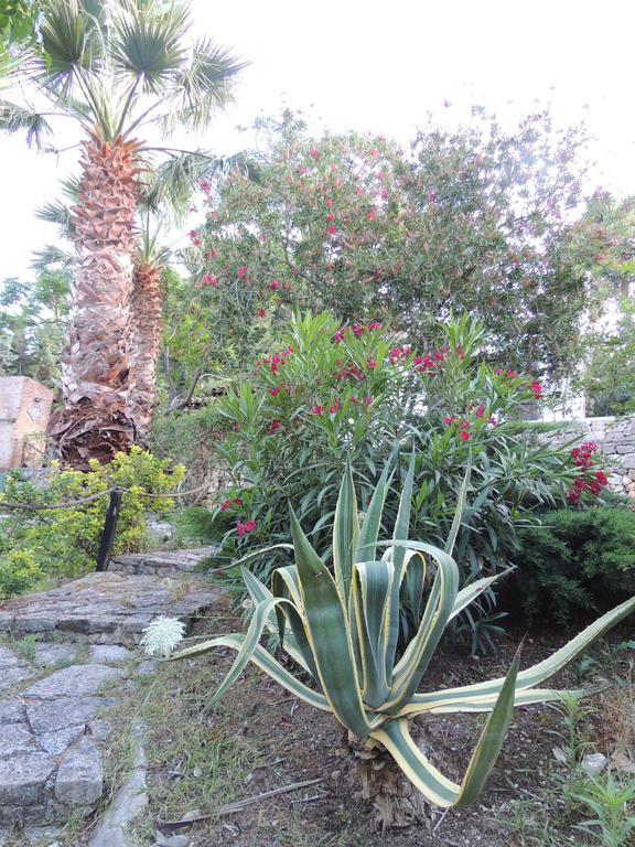 Villa Adamo Scopello  Zimmer foto